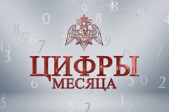 Около 7000 подозреваемых в правонарушениях задержали сотрудники столичного главка Росгвардии за прошедший месяц