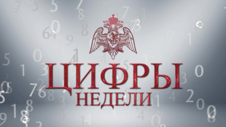 В столичном главке Росгвардии подвели итоги служебной деятельности за месяц